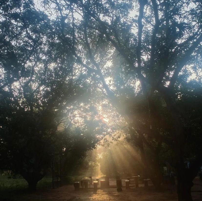 Art Forest Pondicherry Exterior foto